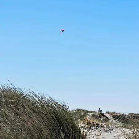 442-hvide-sande-tingodden-187 Hvide Sande